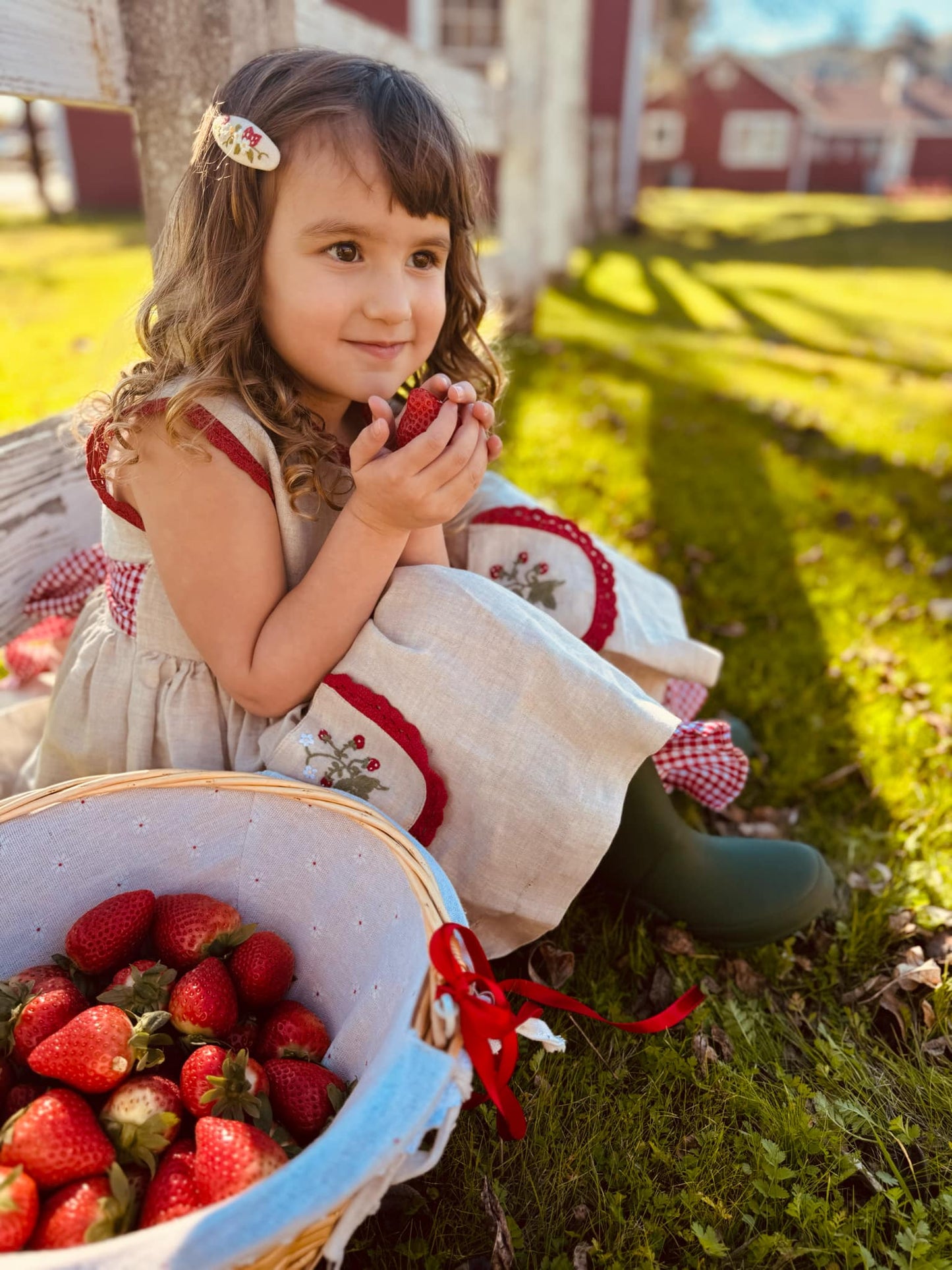 Sophia Strawberry Dress *PRE-ORDER