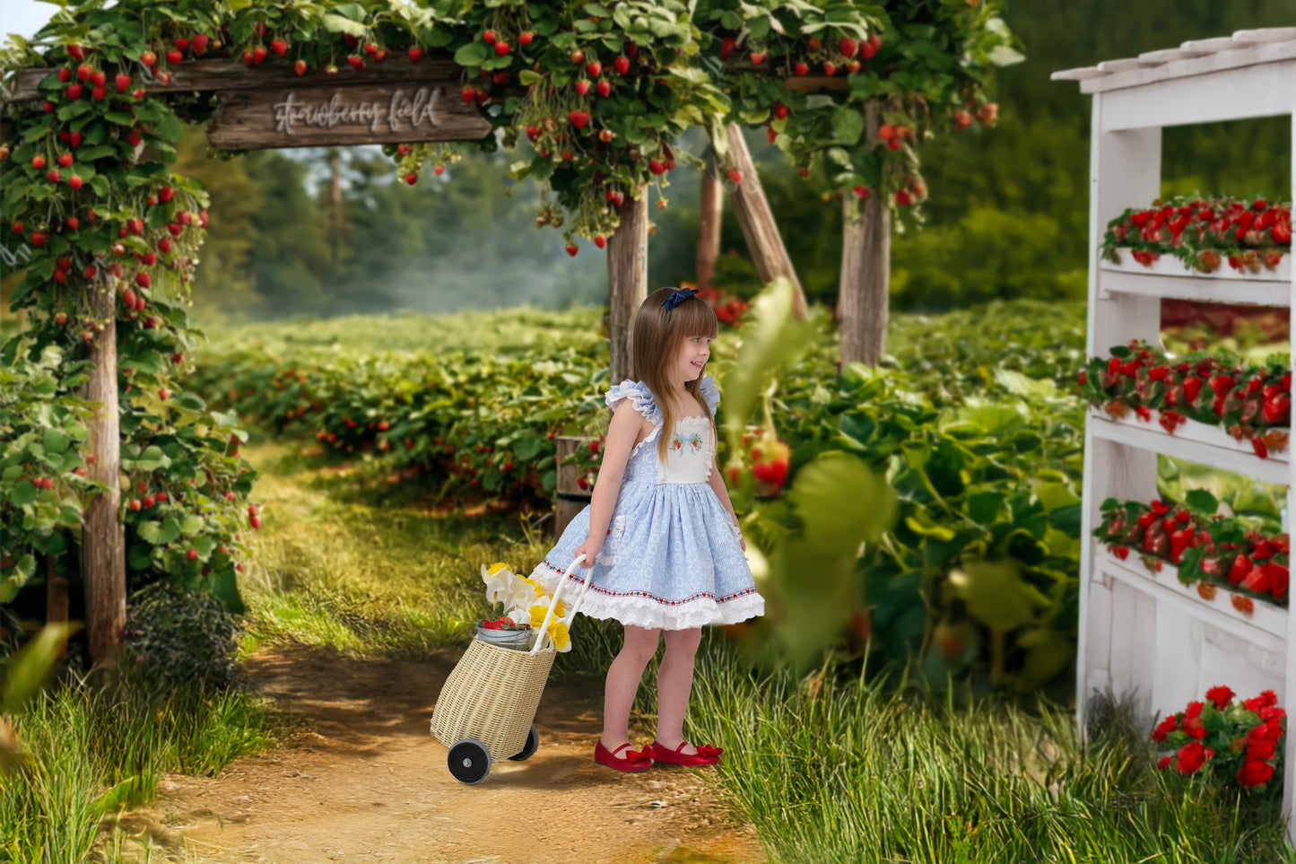 "Cate" Strawberry Dress *PRE-ORDER