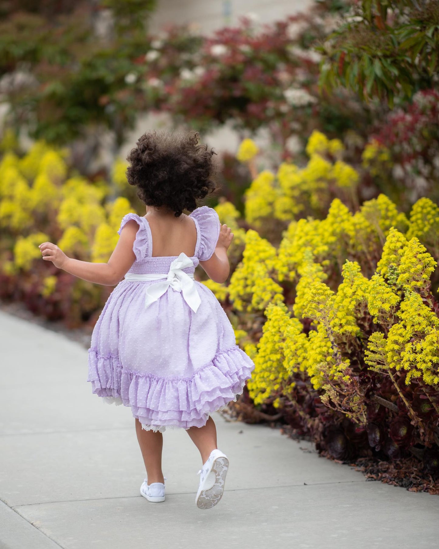 Lavender Fields Dress