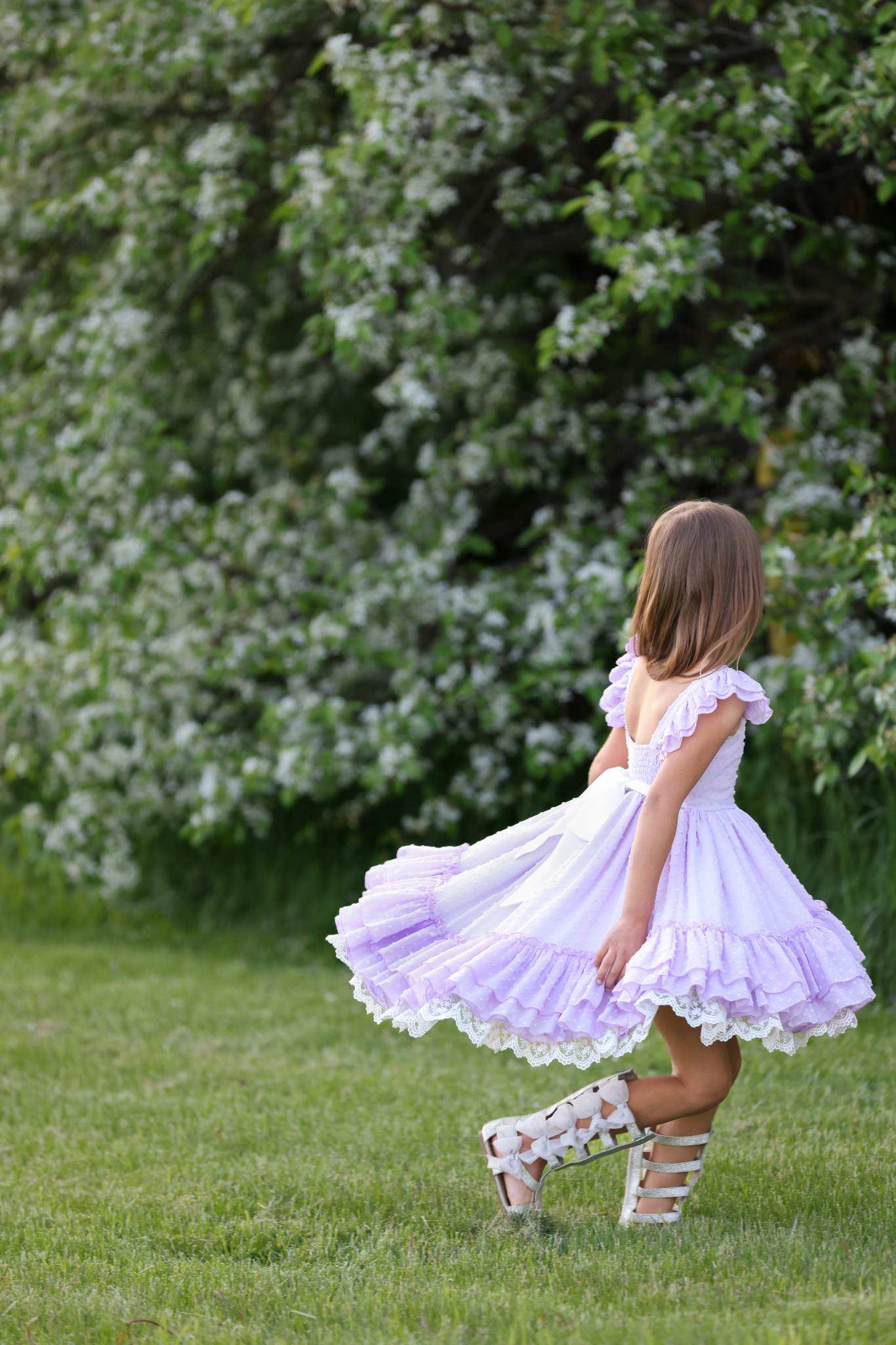 Lavender Fields Dress