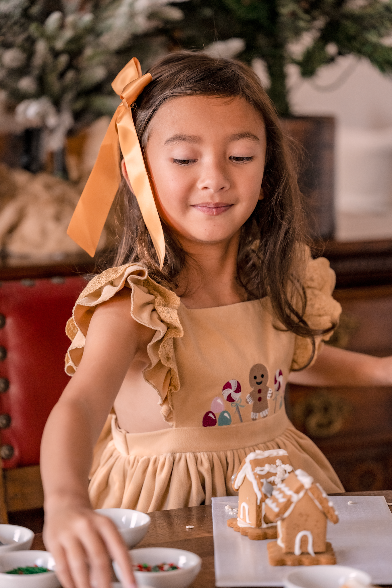 Gingerbread Kisses Dress *PRE-ORDER