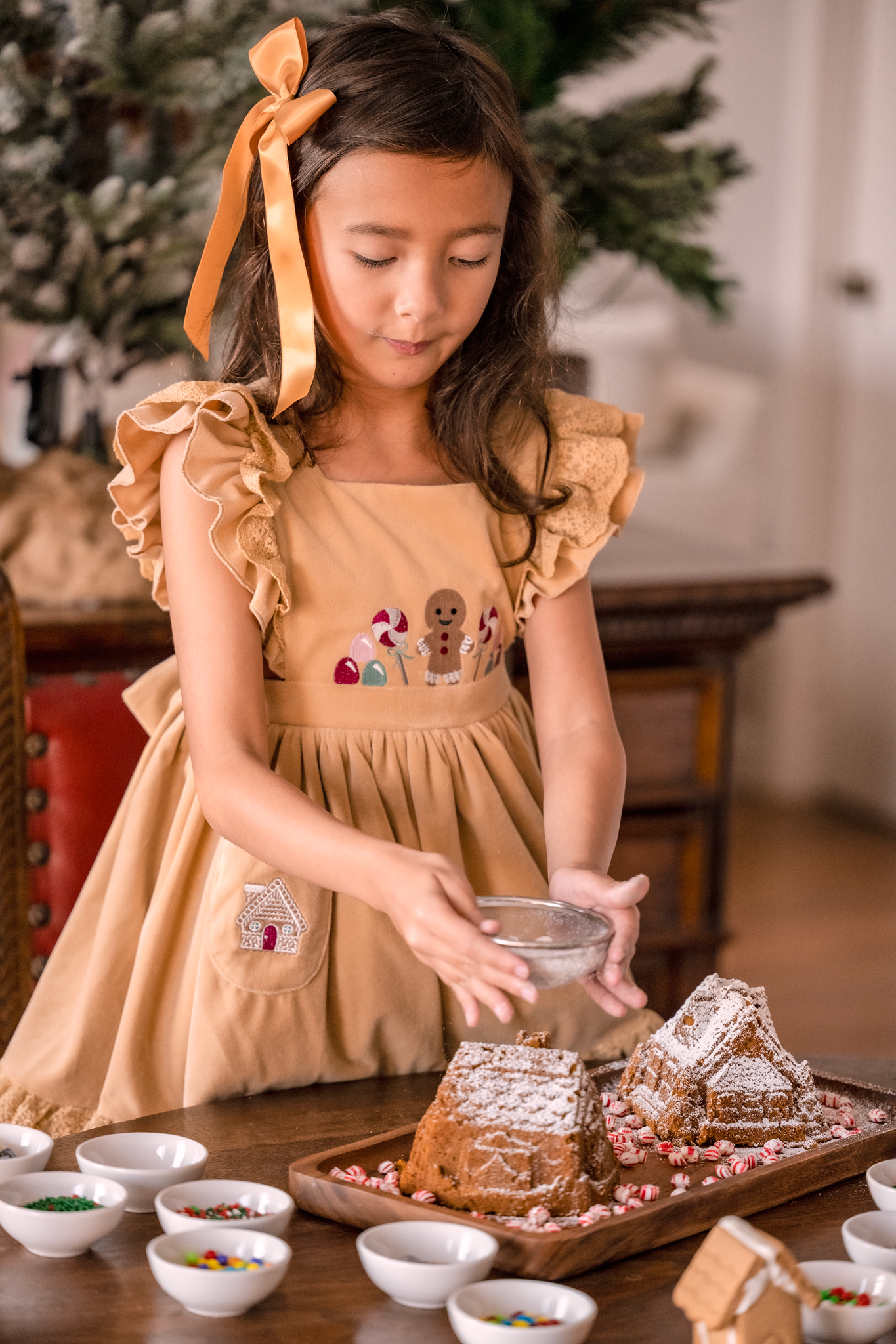 Gingerbread Kisses Dress *PRE-ORDER