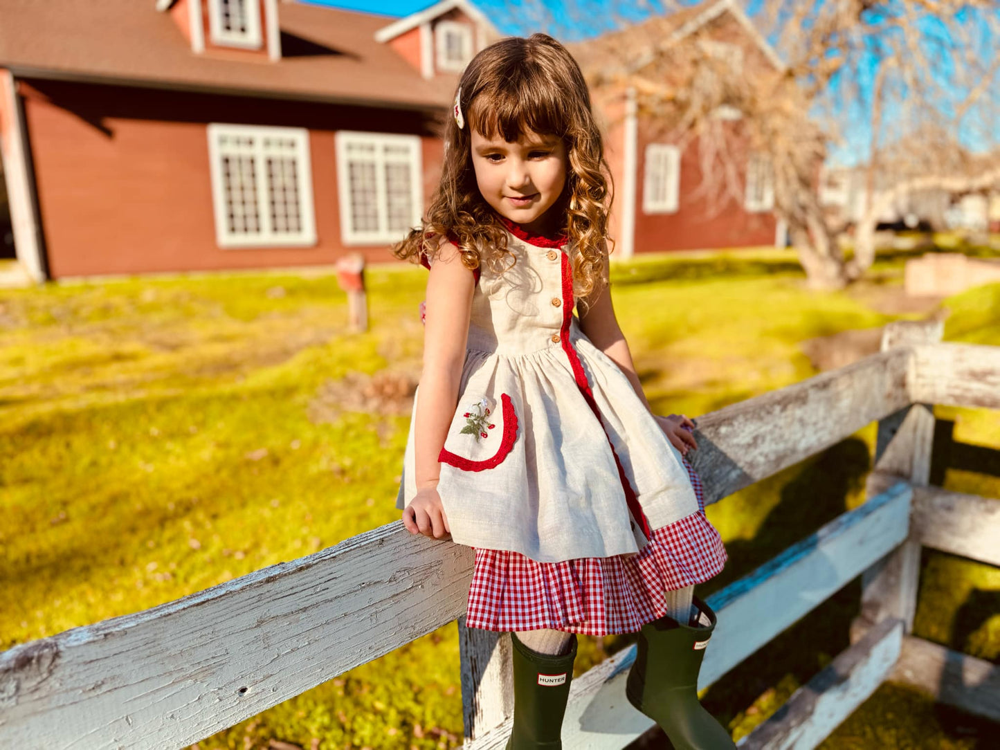 Sophia Strawberry Dress *PRE-ORDER