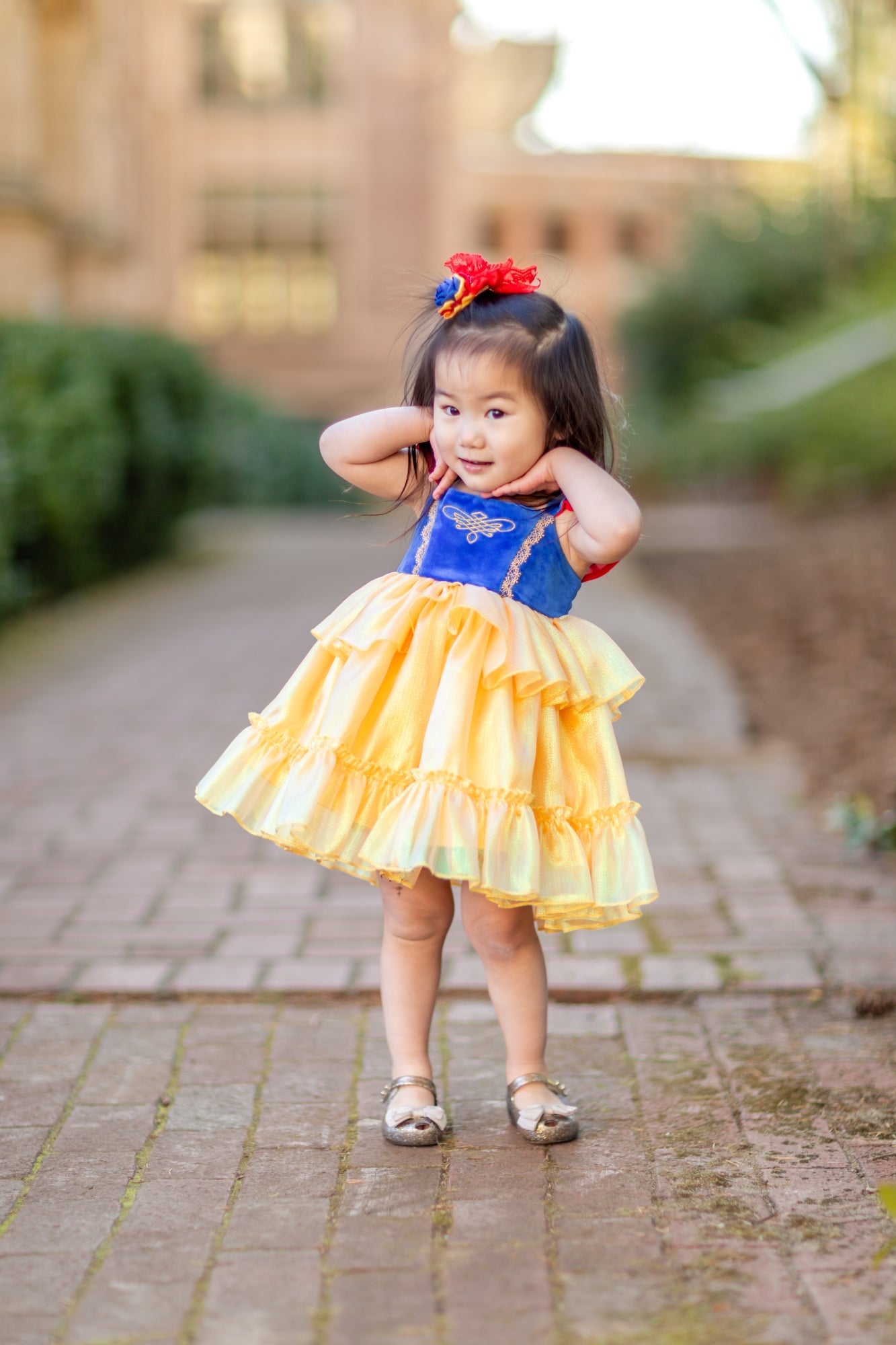 Fairytale Dress *PRE-ORDER