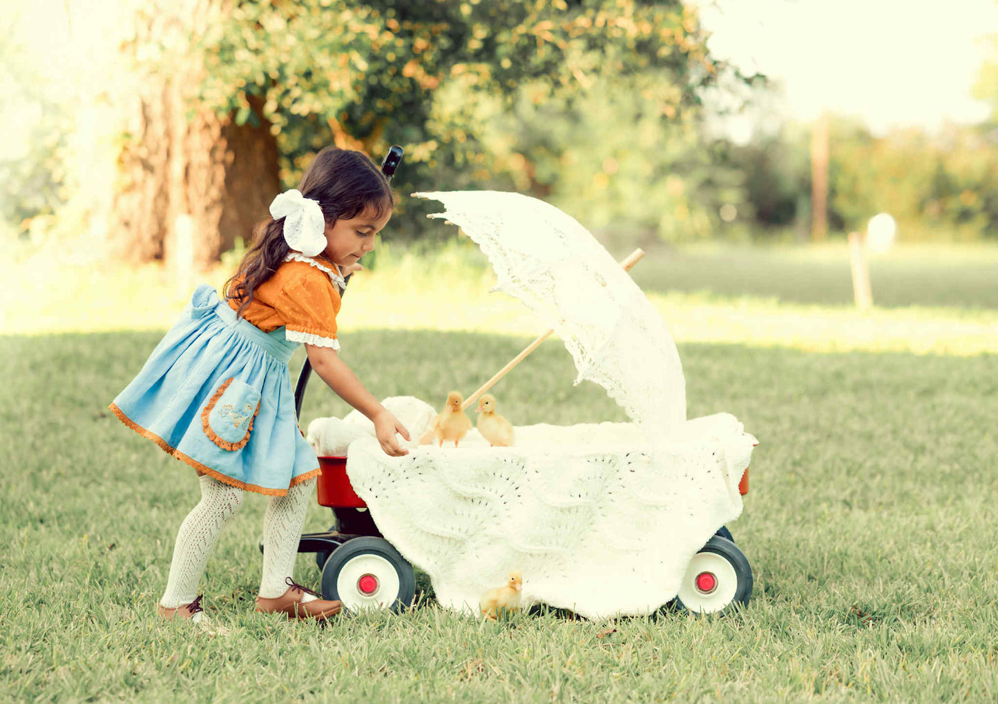 Countryside Goose pinafore *PRE-ORDER