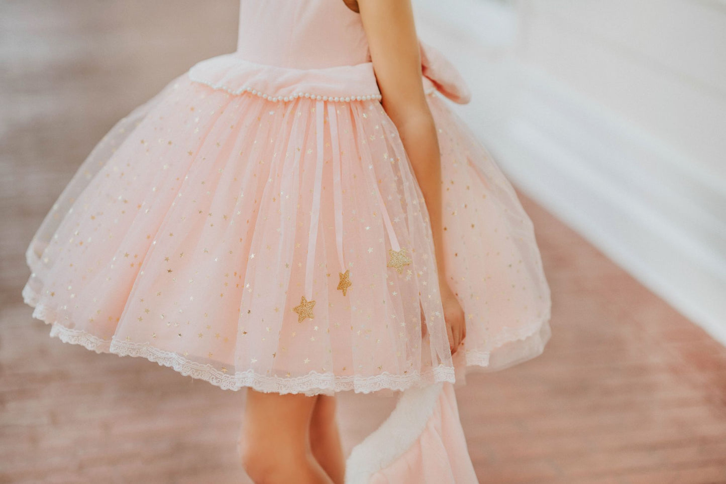 "Clara" Winter Fairytale Dress
