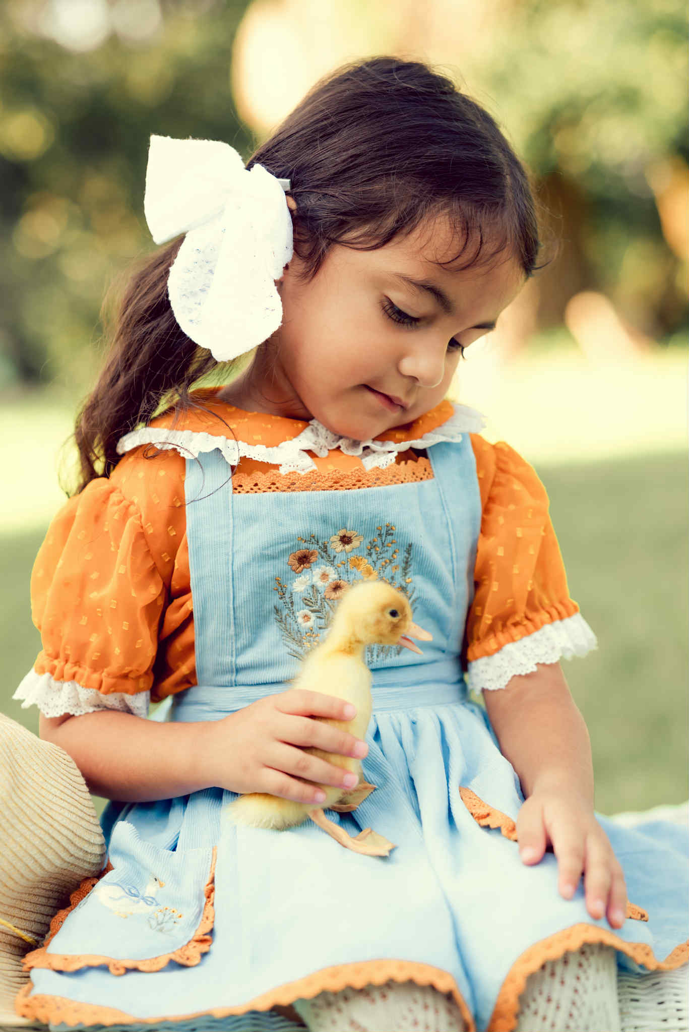 Countryside Goose pinafore *PRE-ORDER