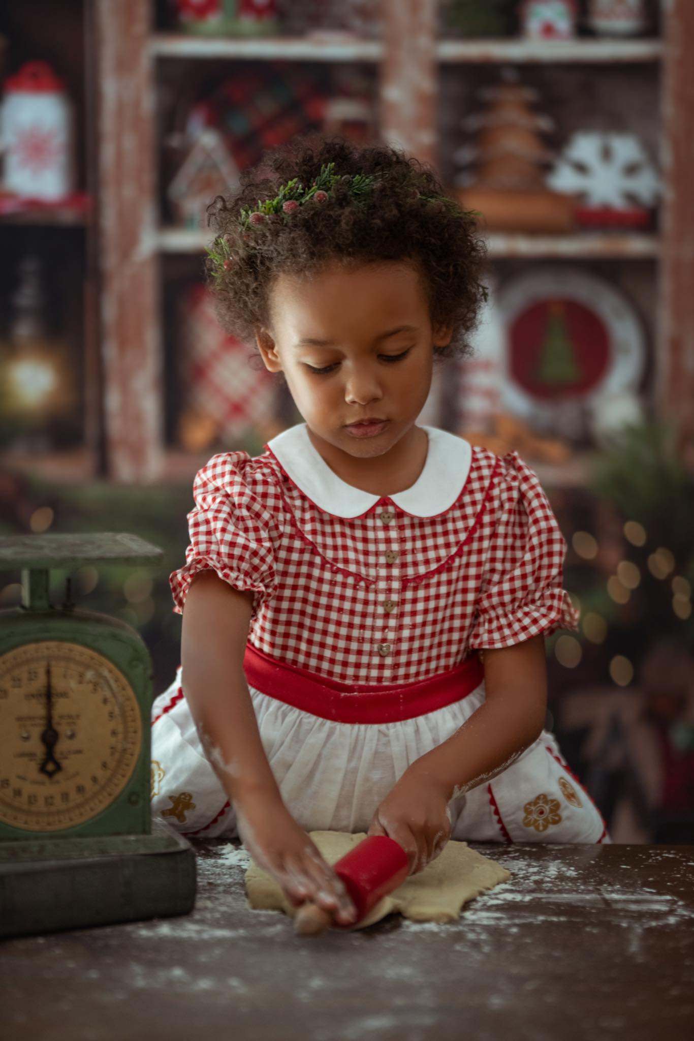 Cookies for Santa Dress