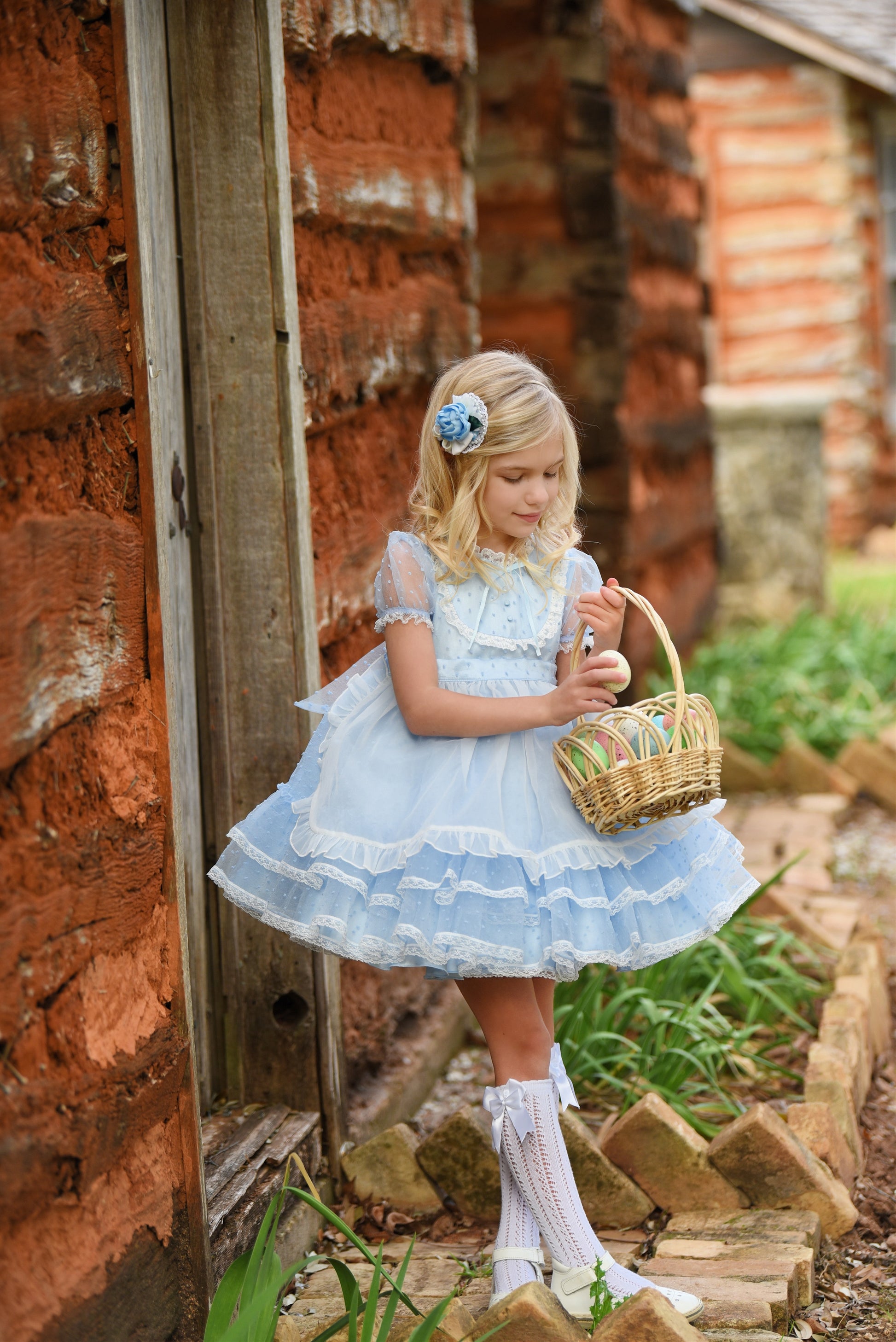 party dress morning glory Morning Glory, Party Dress - Annual Flower Seeds and Plants